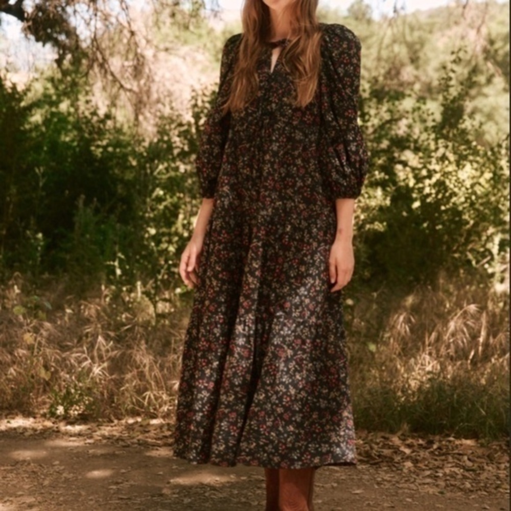 NWT The Great Bonnett Dress in Nightshade Floral - Size 3